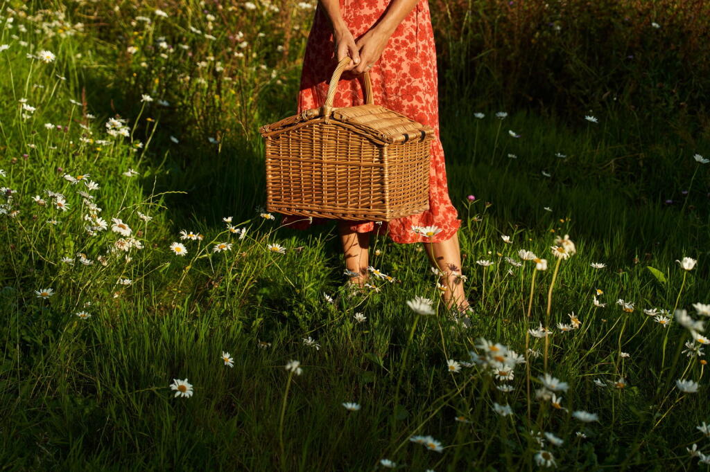 Additional image 12 of The Nest, Cookswood