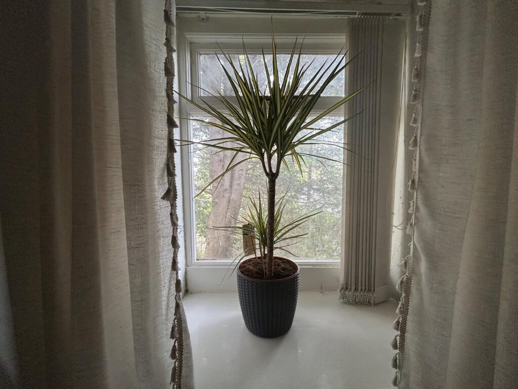 Additional image 13 of Ramsden Place, Clayton, Bradford, BD14