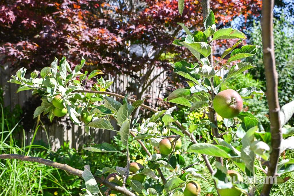 Additional image 36 of Milcote Road, Bearwood, West Midlands, B67