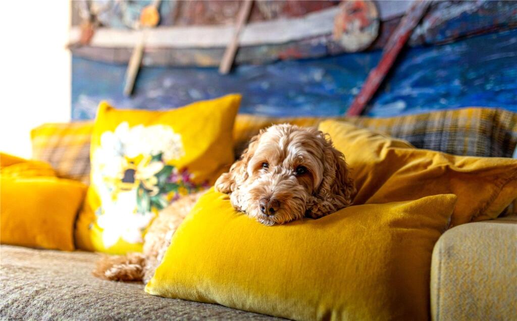 Additional image 36 of Springhill Cottages, Newchurch, Rossendale, BB4