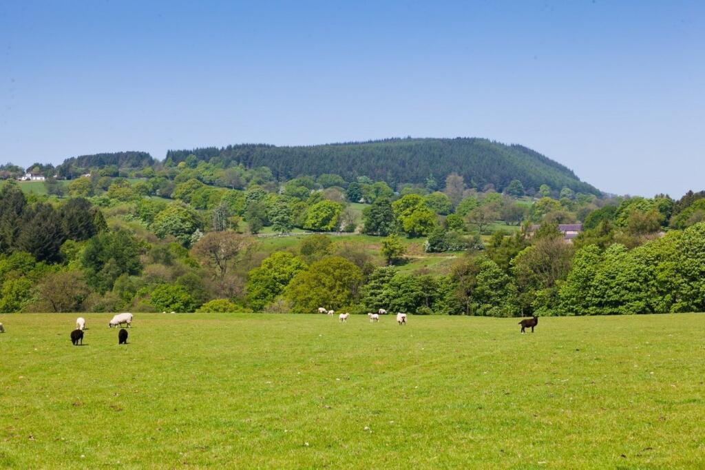 Additional image 29 of Withgill Fold, Withgill, Clitheroe, BB7