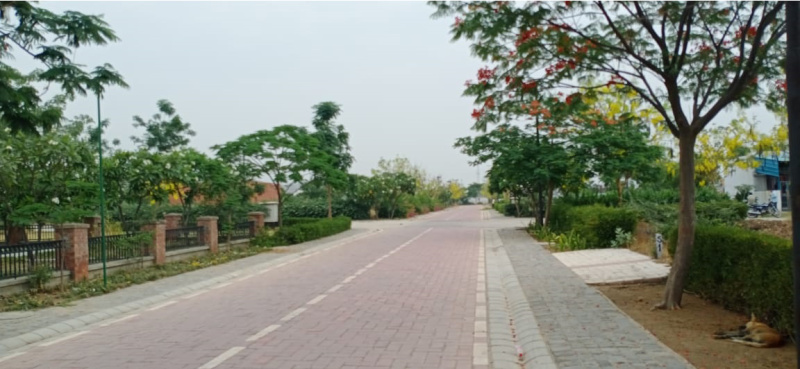 Sohna, Gurgaon