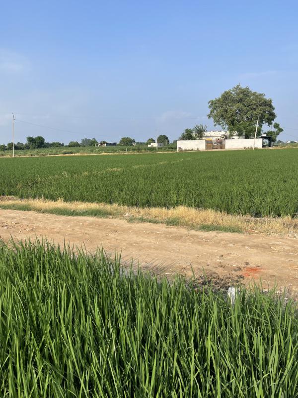 Additional image 2 of Ferozepur road, Ludhiana