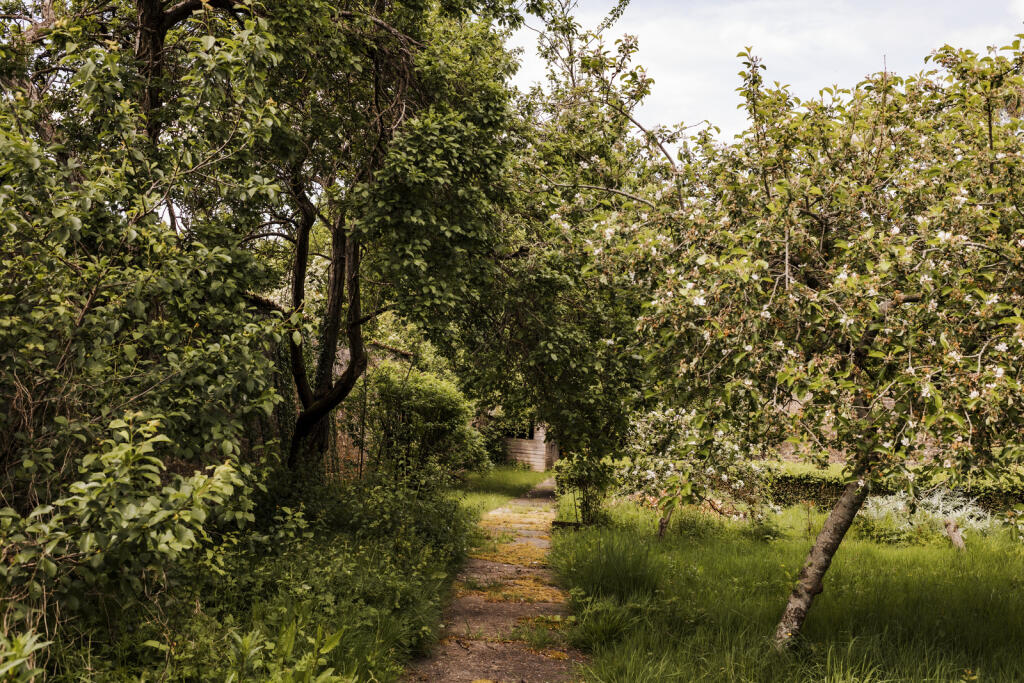 Additional image 27 of Frome, Somerset
