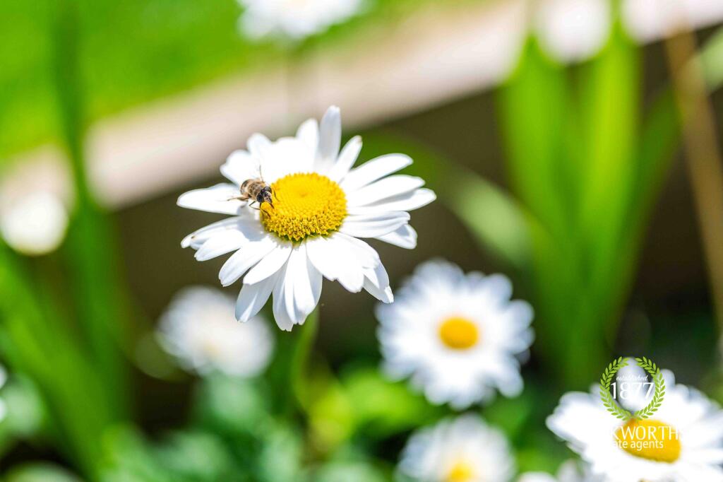 Additional image 36 of Barberry Way, Blackburn, BB2