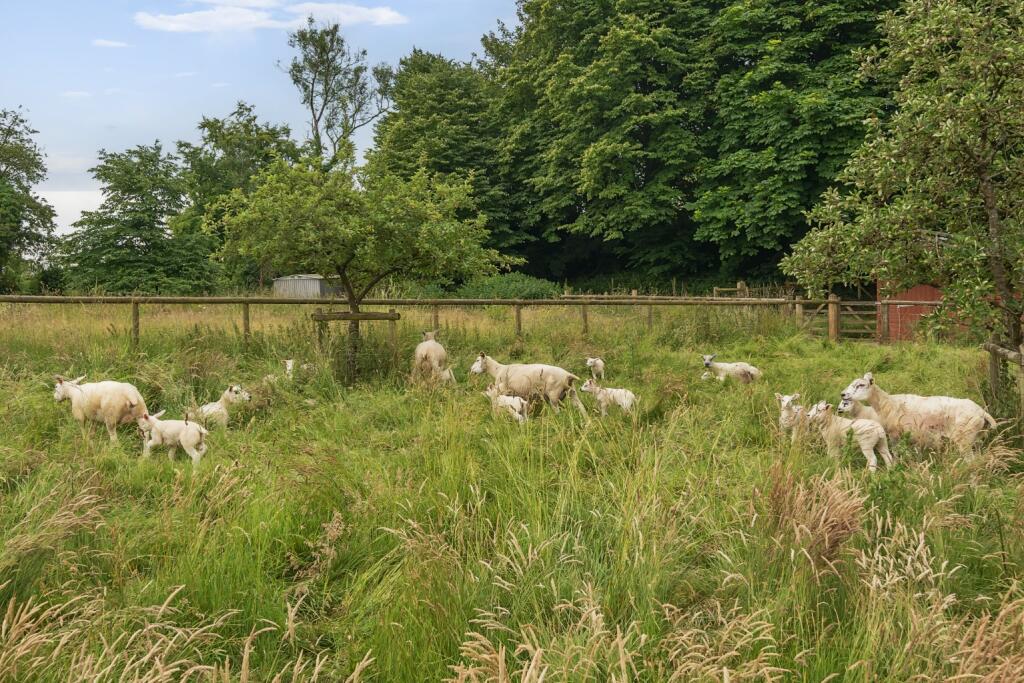 Additional image 33 of West Cranmore