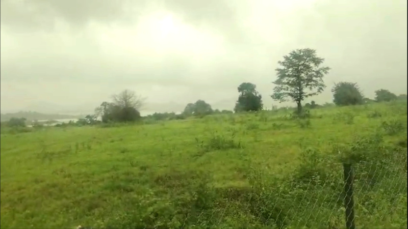 Property image for Wadivahre, Nashik