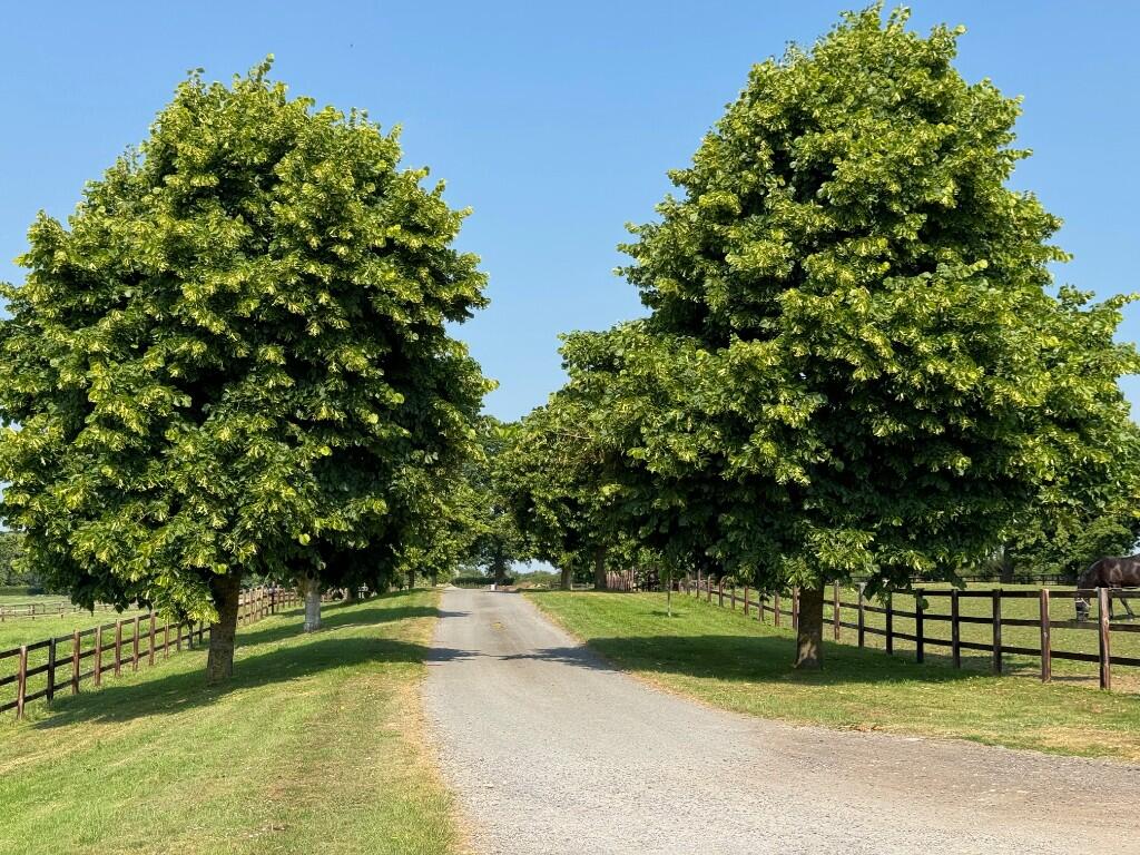 Additional image 5 of Leigh Road West, Bradford-On-Avon, Wiltshire, BA15