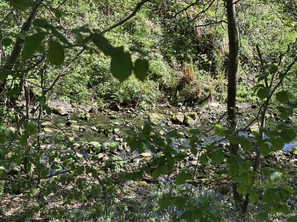 Additional image 22 of Tweedy Street, BD15