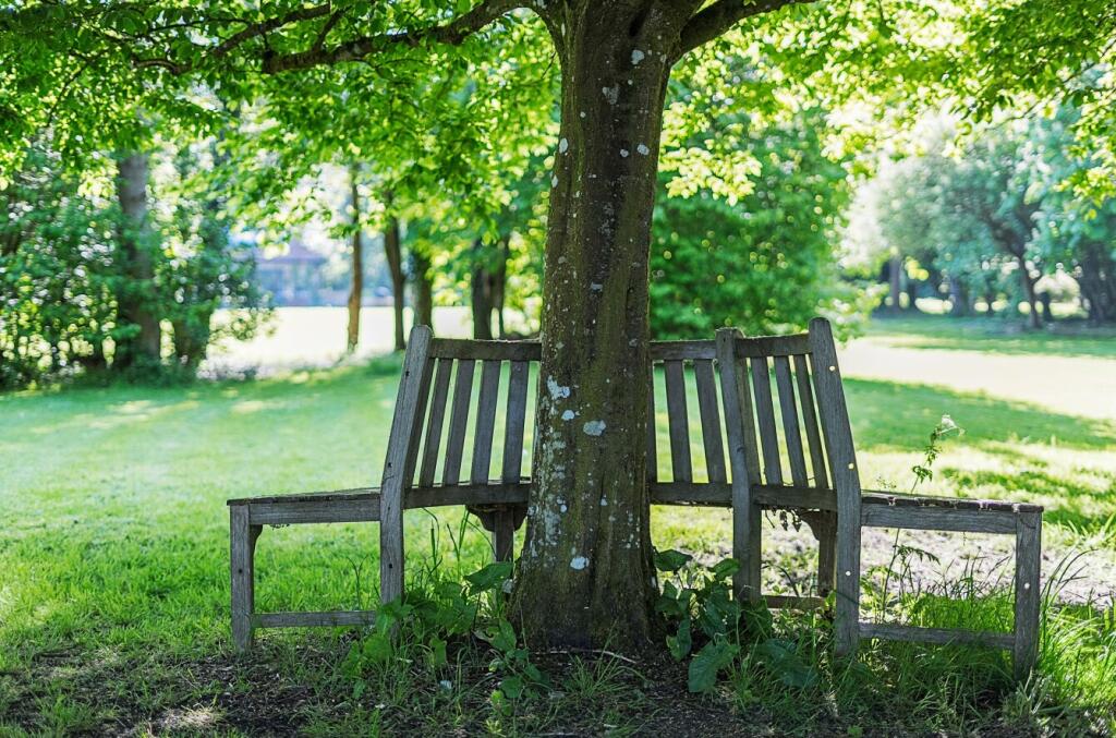 Additional image 28 of Henfords Marsh, Warminster, BA12