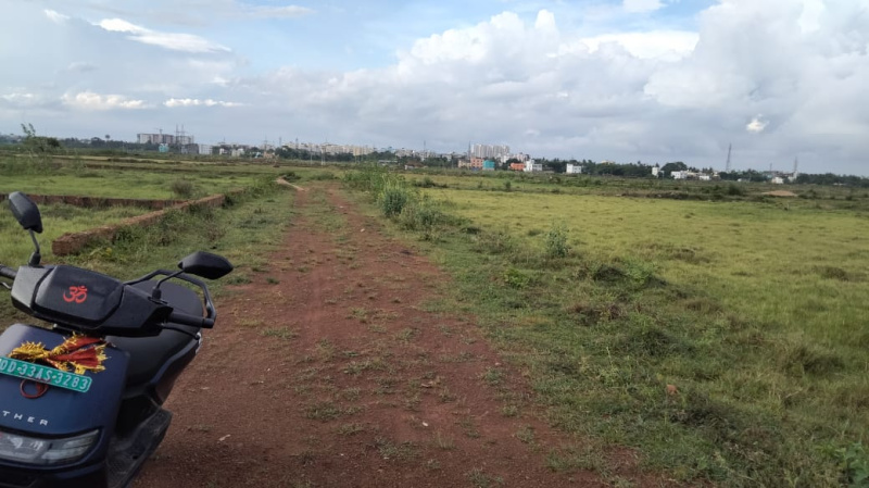 Additional image 3 of Balianta, Bhubaneswar