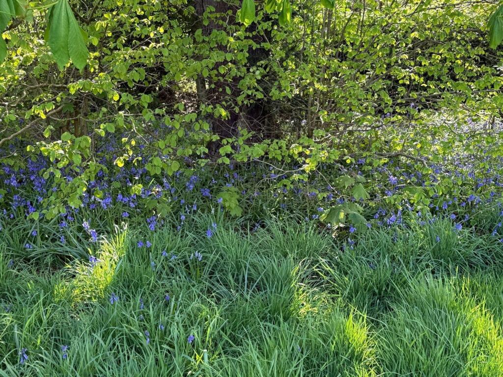 Additional image 55 of Brockhill Lane, Alvechurch, B48