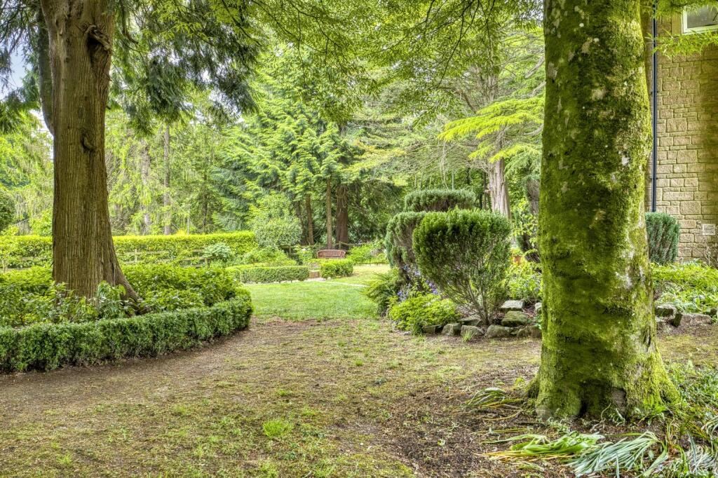 Additional image 31 of Nr. Wells