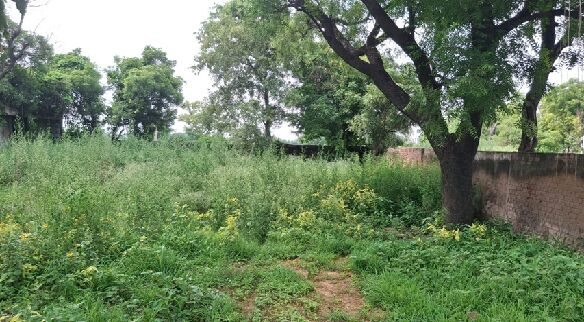 Additional image 2 of Pataudi, Gurgaon