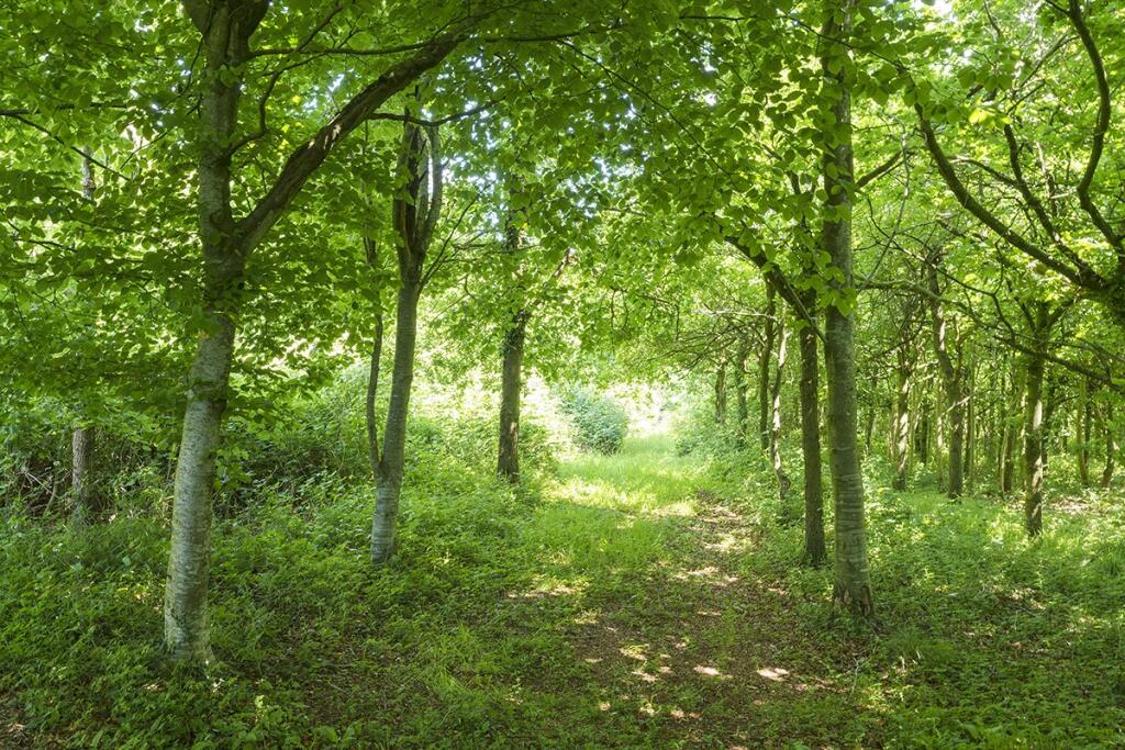 Additional image 23 of Farleigh Road, Norton St. Philip, Bath, BA2