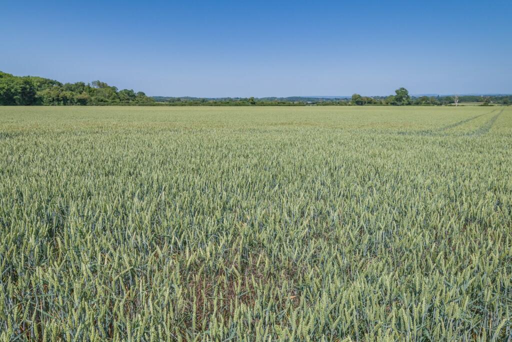 Additional image 9 of Lullington, Lullington, Frome, Somerset