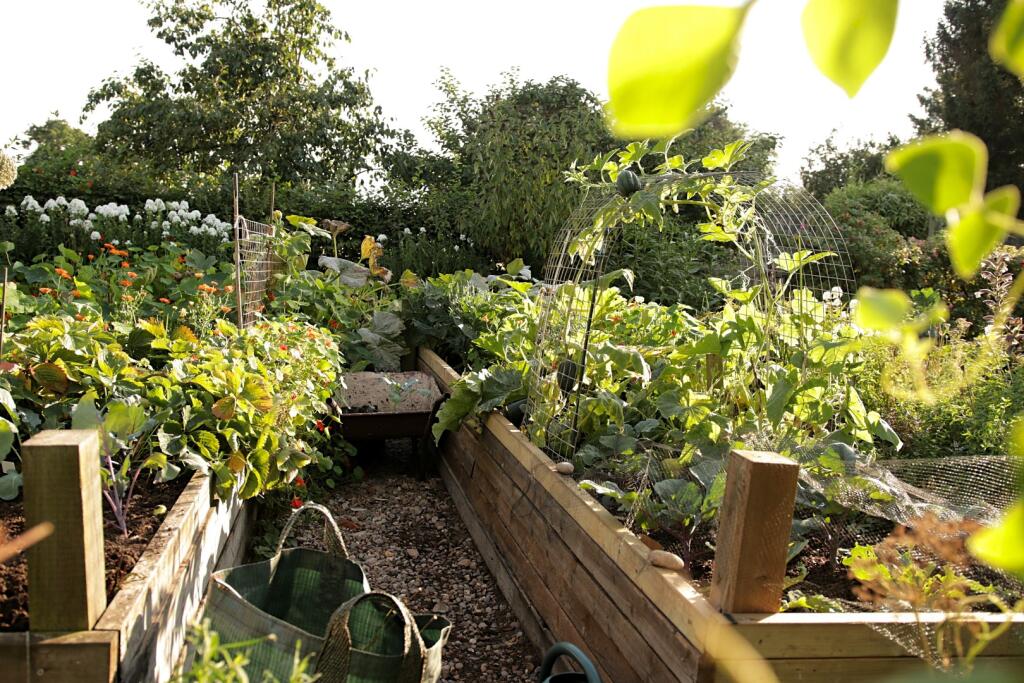 Additional image 38 of Earlswood WEST MIDLANDS