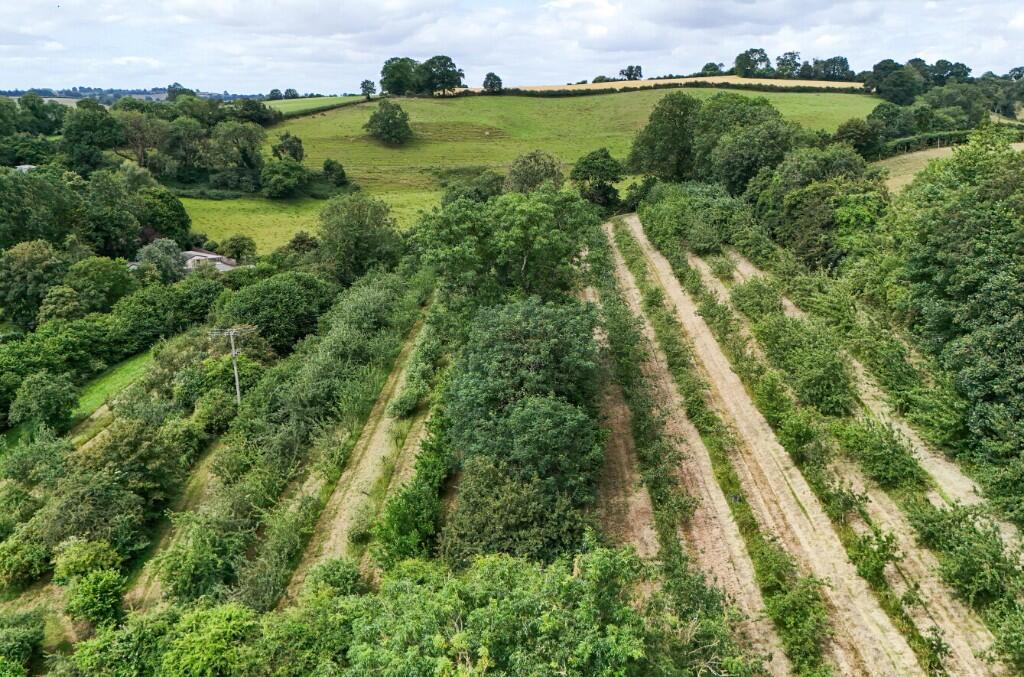 Additional image 22 of Shute Lane, Bruton, Somerset, BA10 0BJ