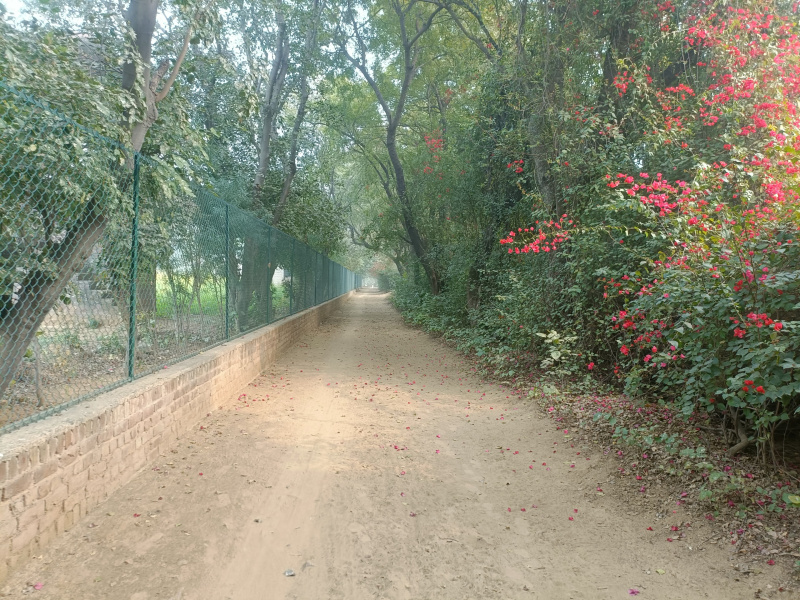 Additional image 3 of Sohna Road, Faridabad