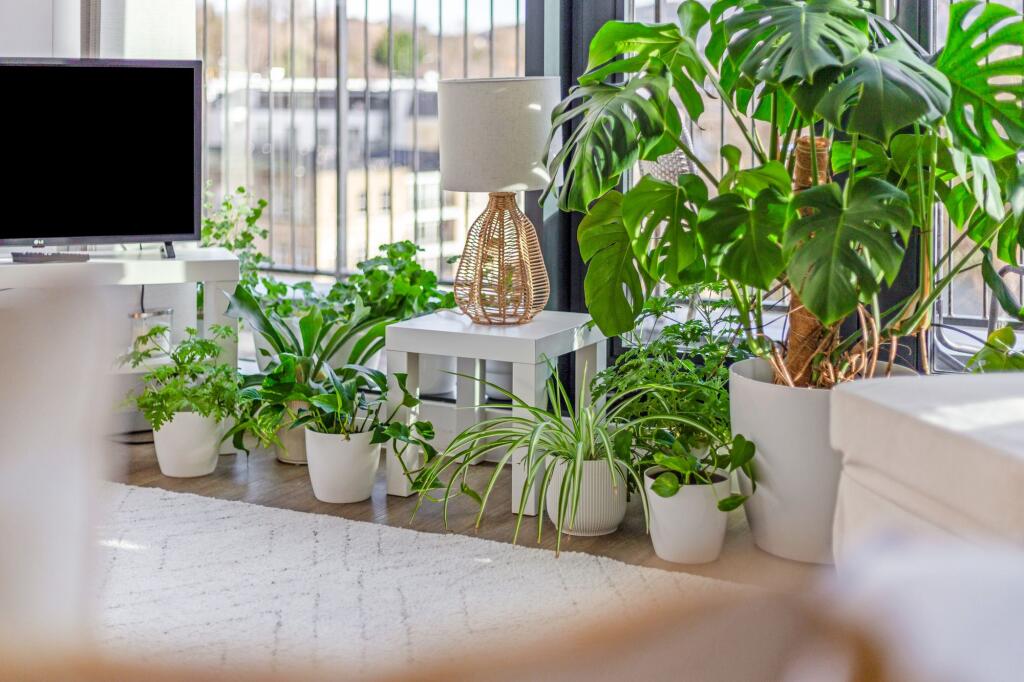 Additional image 10 of Longmead Terrace, Bath, BA2