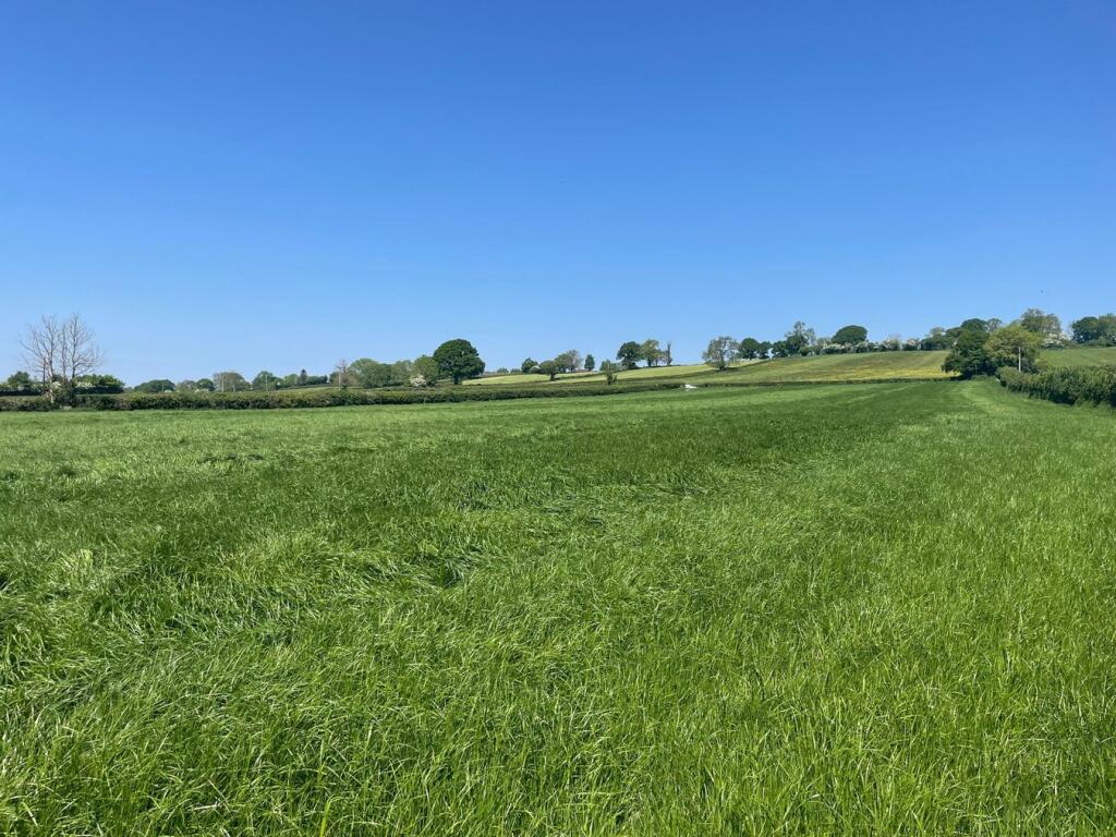 Additional image 4 of Withial, East Pennard, BA4