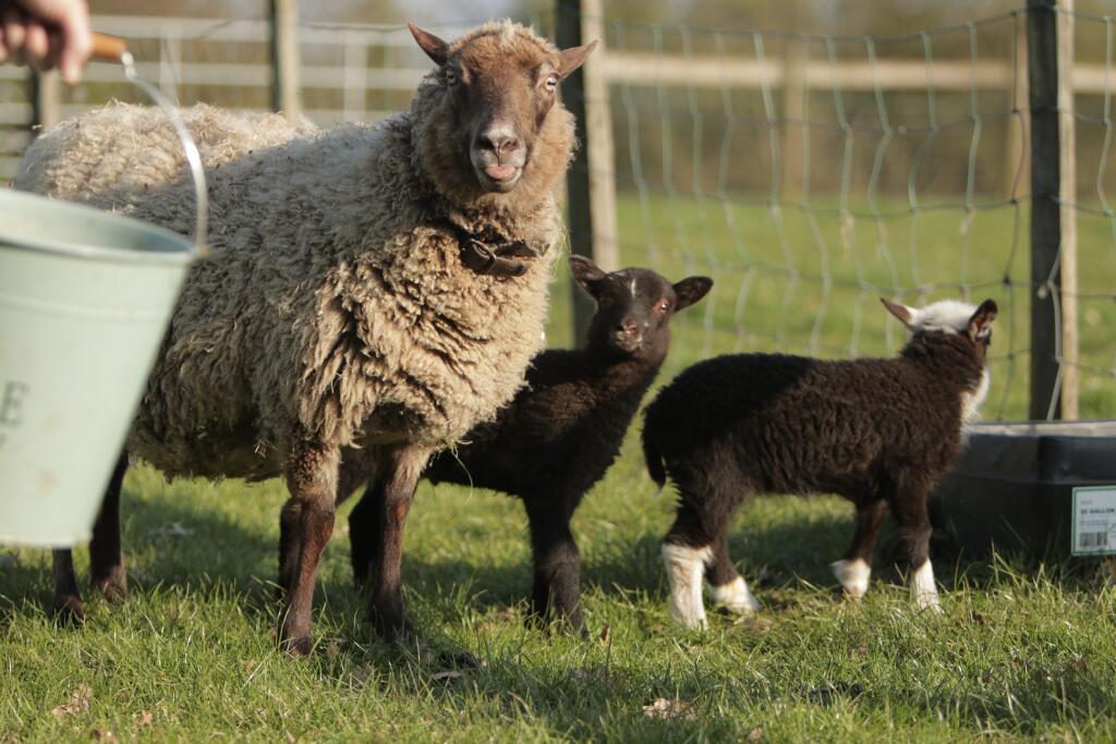 Additional image 40 of Earlswood WEST MIDLANDS