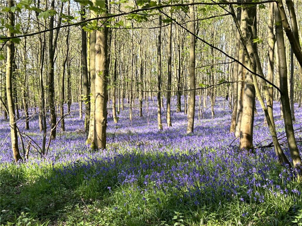 Additional image 9 of Brockhill Lane, Redditch, Worcestershire, B97