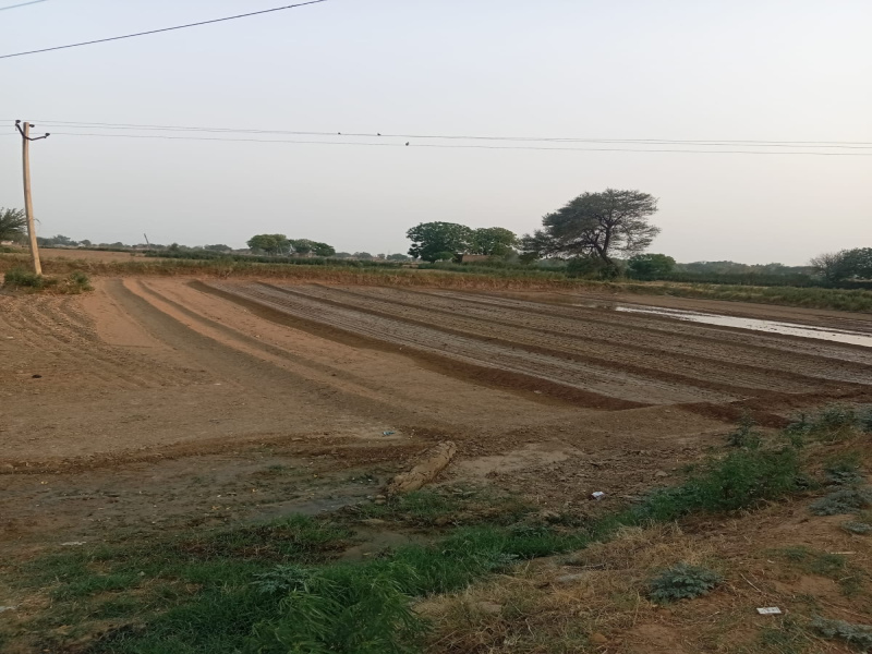 Additional image 2 of Pataudi Road, Gurgaon