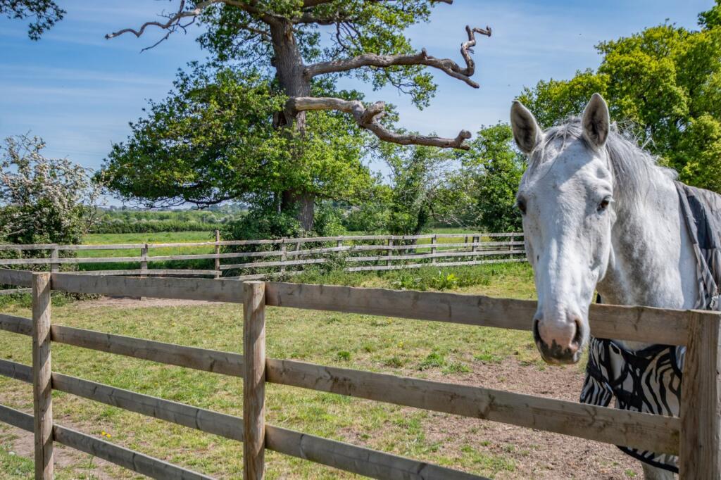 Additional image 30 of Rectory Lane, Upton Warren, Bromsgrove, Worcestershire, B61