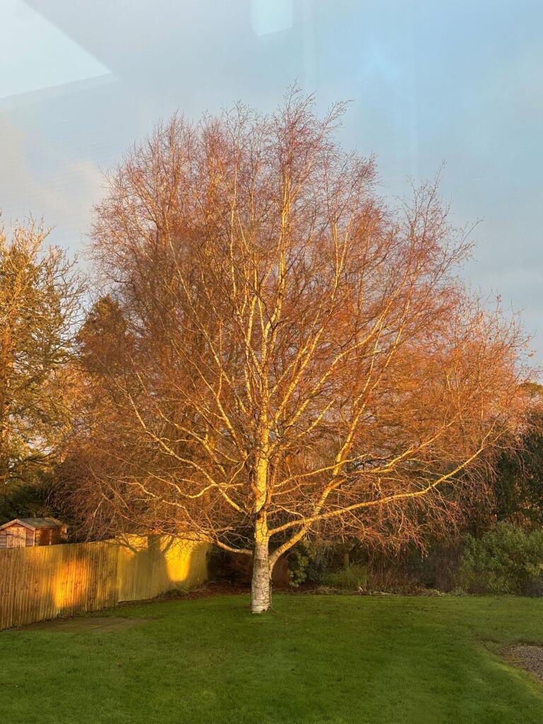 Additional image 52 of Brockhill Lane, Alvechurch, B48