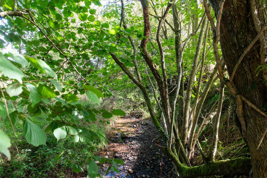 Additional image 25 of Icknield Street, Alvechurch, Birmingham, B48