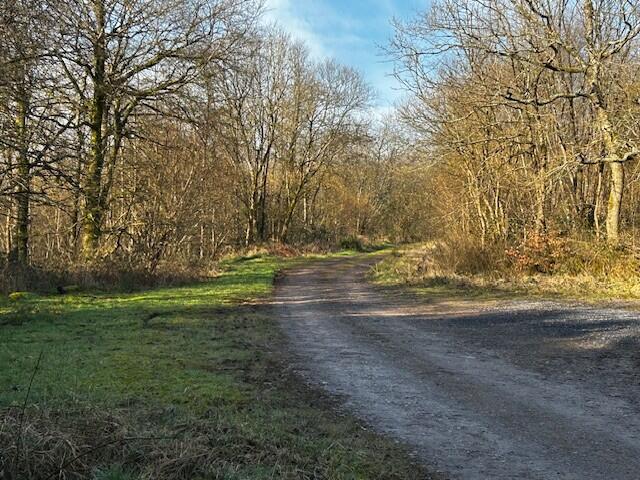 Additional image 7 of Land at Pinkwood, North Brewham, BA10 0QN