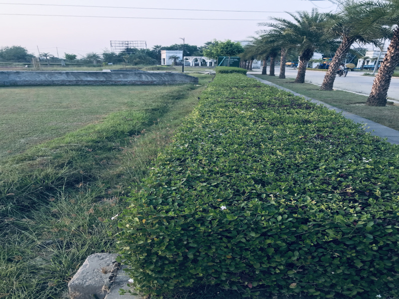 Additional image 2 of Sultanpur Road, Lucknow