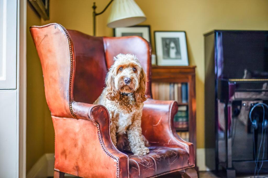 Additional image 11 of Park Street, Bath, BA1