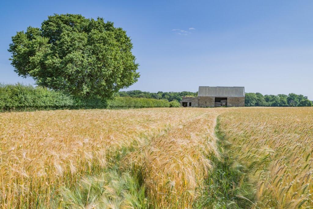 Additional image 6 of Lullington, Lullington, Frome, Somerset