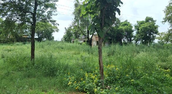 Additional image 3 of Pataudi, Gurgaon