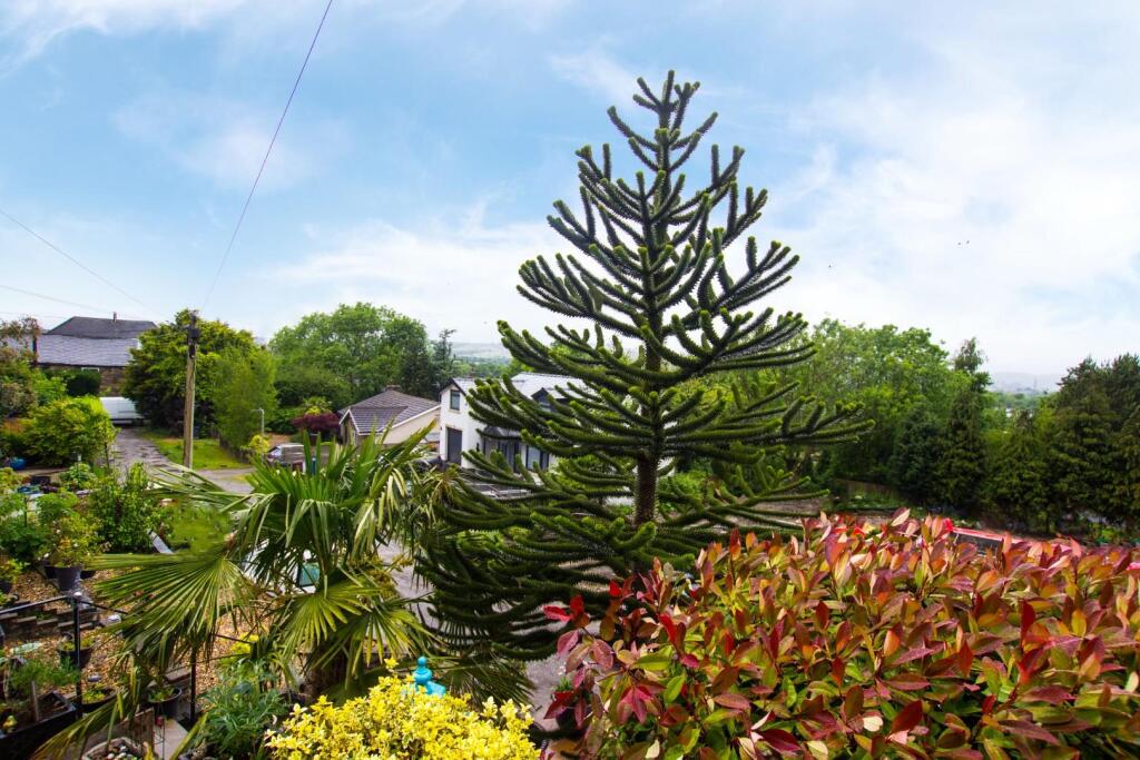 Additional image 15 of Hazel Avenue, Clayton Le Moors