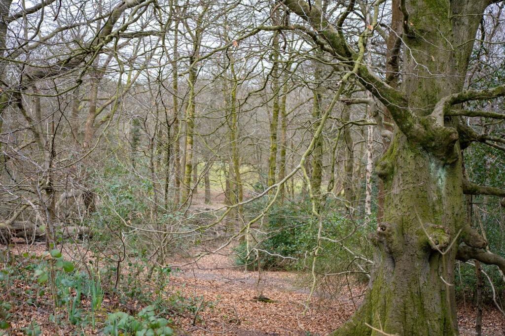 Additional image 27 of Warren Lane, Lickey, B45