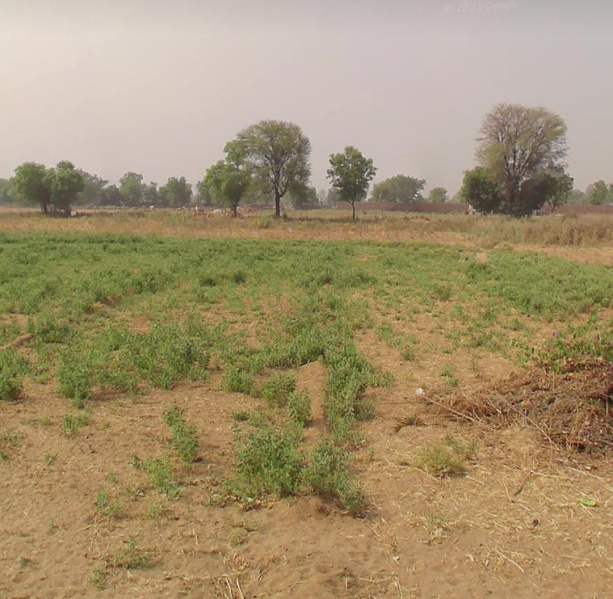 Sohna Road, Faridabad