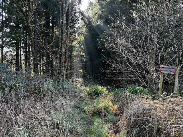 Additional image 6 of Land at Pinkwood, North Brewham, BA10 0QN