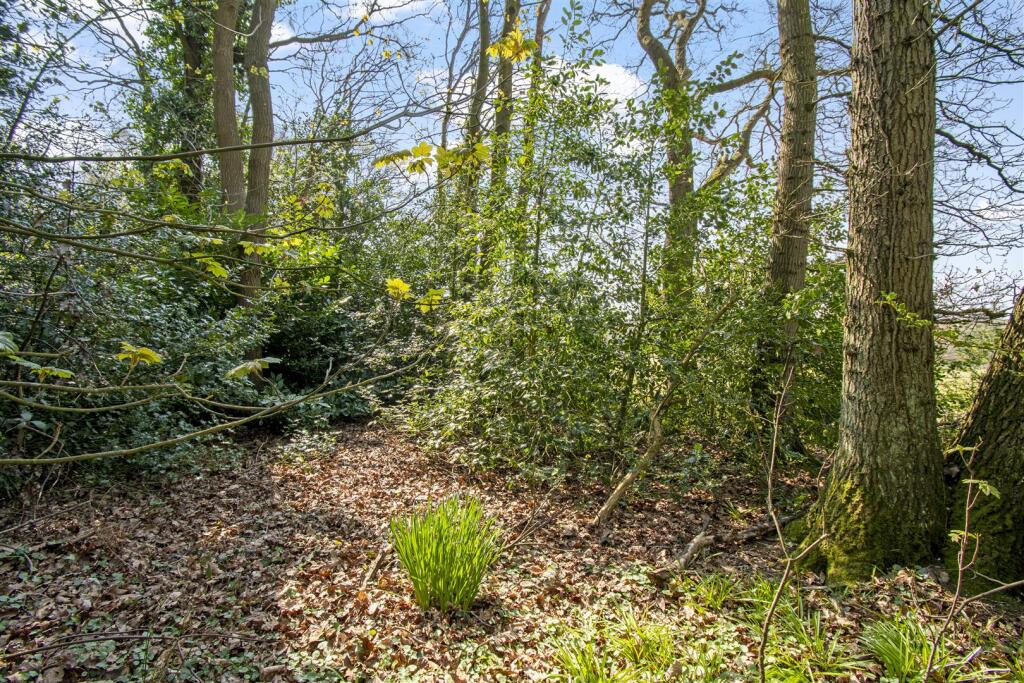 Additional image 41 of Little Aston Park Road, Sutton Coldfield