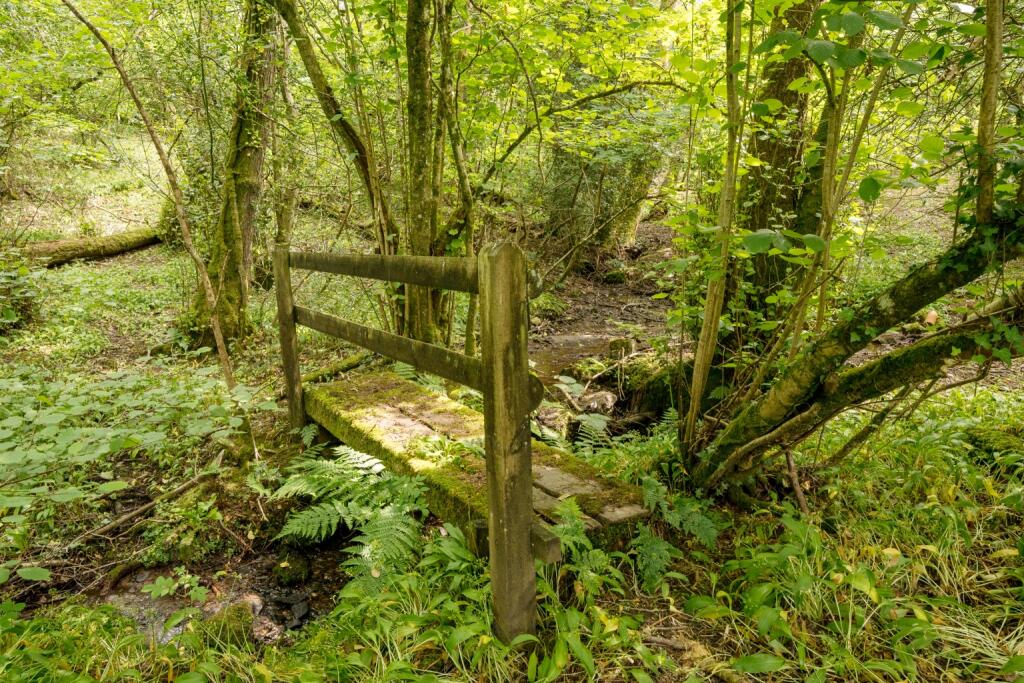 Additional image 26 of Tadhill, Leigh Upon Mendip