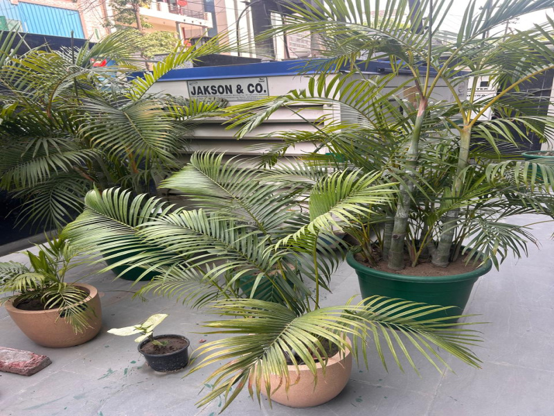 Additional image 2 of Sector 63, Noida