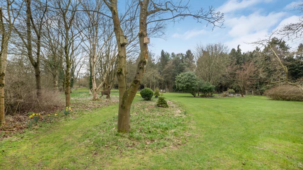 Additional image 29 of Shepley Dene, Dale Lane, B60