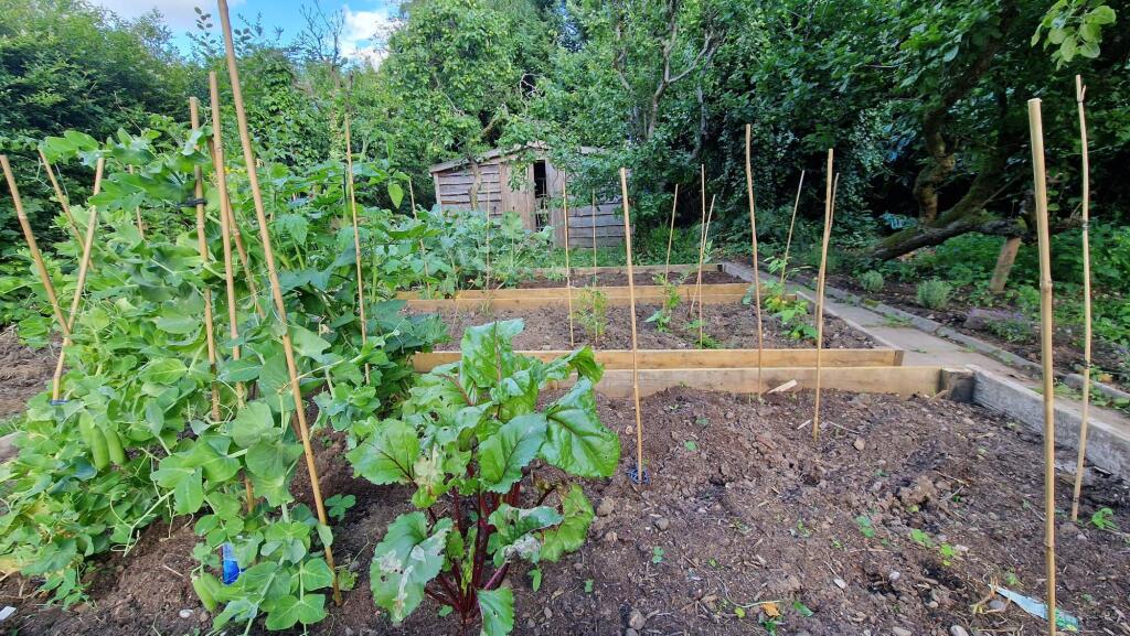 Additional image 41 of Ashleigh Road, Solihull, B91