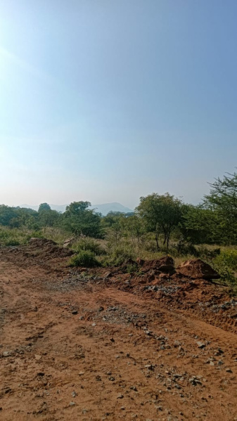 Additional image 3 of Mettupalayam Coimbatore, Coimbatore