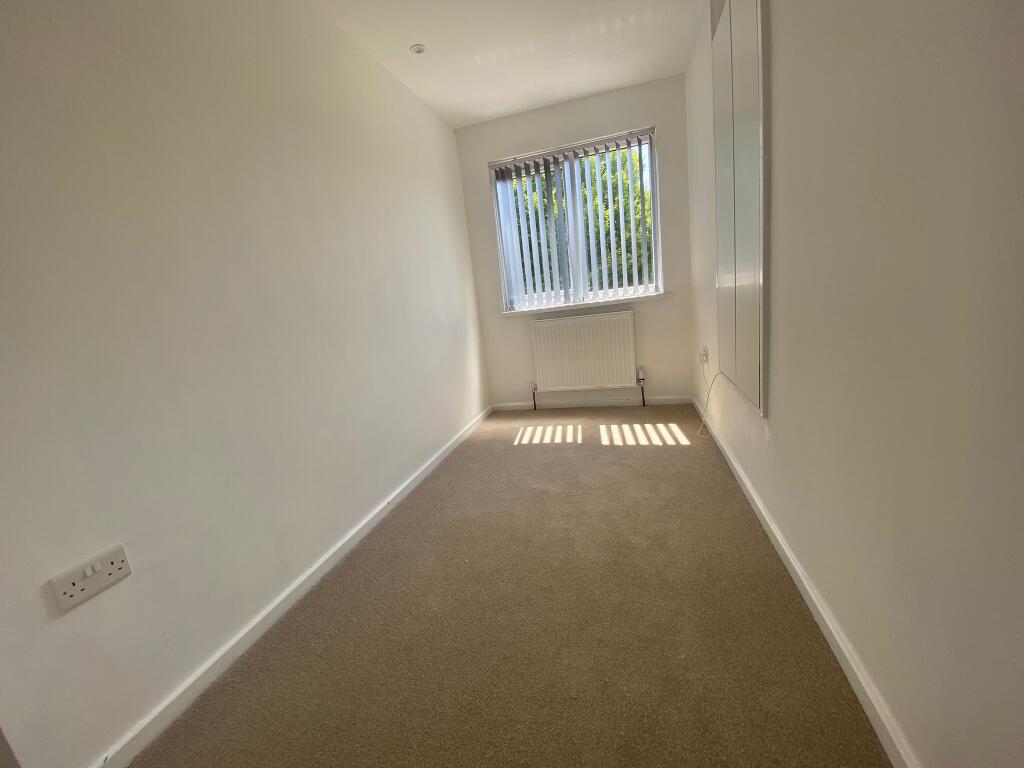 Additional image 7 of Hornbeam, Tamworth