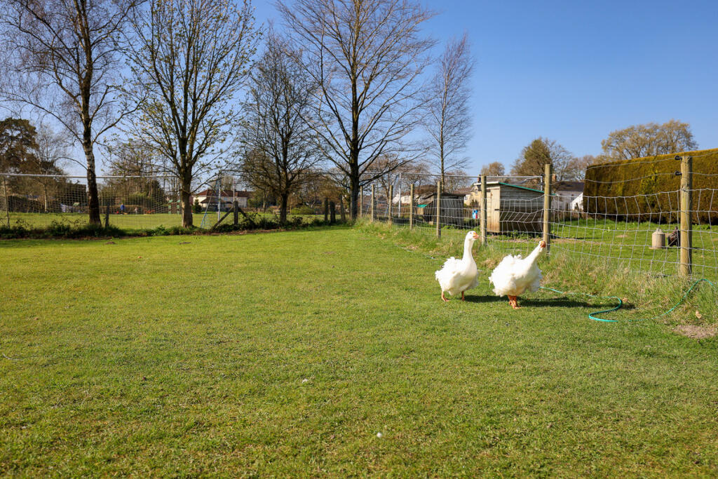 Additional image 16 of Brewery Lane, Holcombe Near Mells, BA3