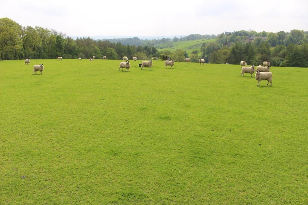 Additional image 7 of Withgill Fold, Withgill, Clitheroe, BB7