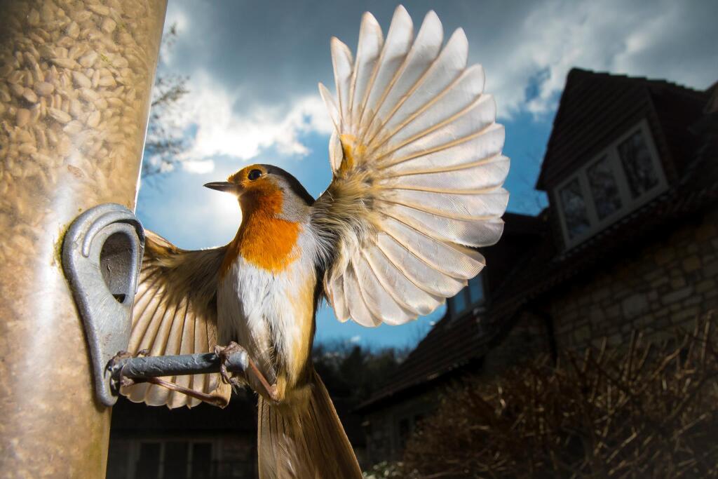 Additional image 4 of Near Wellow and Bath, Somerset, BA3